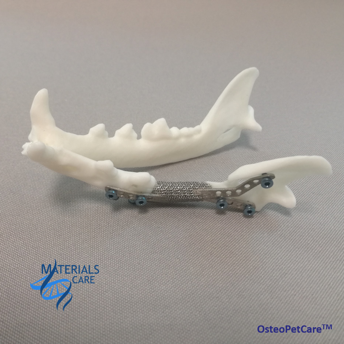 Zdjęcie fragmentu kości wydrukowanego w 3D