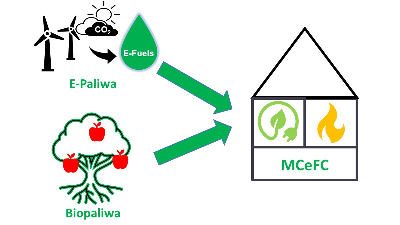 Na grafice przedstawione, na czym polega Molten Carbonate e-Fuel Cell