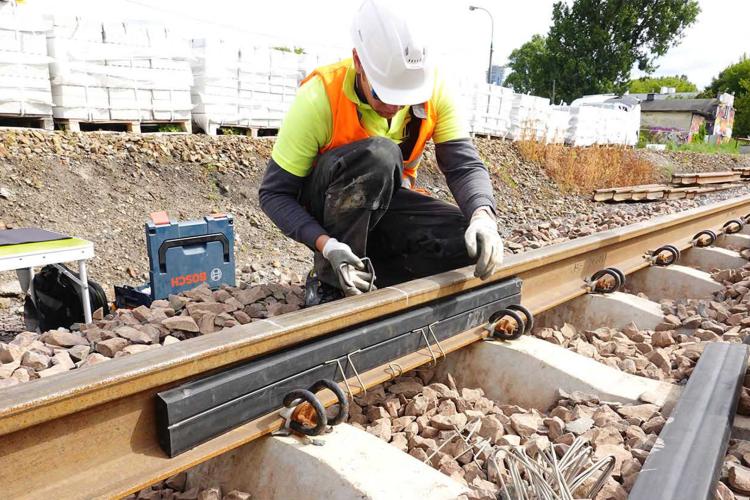 Na zdjęciu: badania podczas projektu BRIK