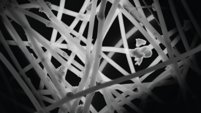 Na zdjęciu nanowłókna maty polimerowej z unieruchomionym na włóknach katalizatorem. Zdjęcie wykonane transmisyjnym mikroskopem elektronowym (TEM) i przedstawia 