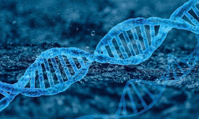Na zdjęciu: nić DNA, fot. pixabay, autor: Furiosa-L