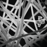 Na zdjęciu nanowłókna maty polimerowej z unieruchomionym na włóknach katalizatorem. Zdjęcie wykonane transmisyjnym mikroskopem elektronowym (TEM) i przedstawia 