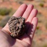 Fragment skały na dłoni